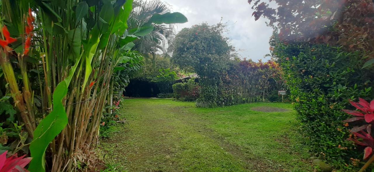 Jardin Entre Montanas Bed & Breakfast Bijagua Luaran gambar
