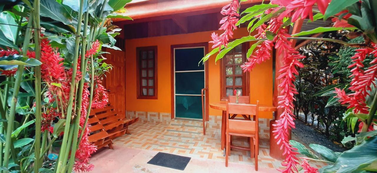 Jardin Entre Montanas Bed & Breakfast Bijagua Luaran gambar