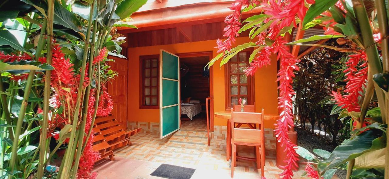 Jardin Entre Montanas Bed & Breakfast Bijagua Luaran gambar