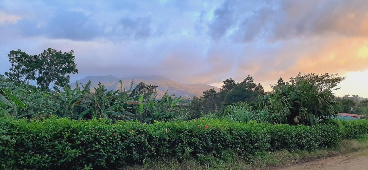 Jardin Entre Montanas Bed & Breakfast Bijagua Luaran gambar