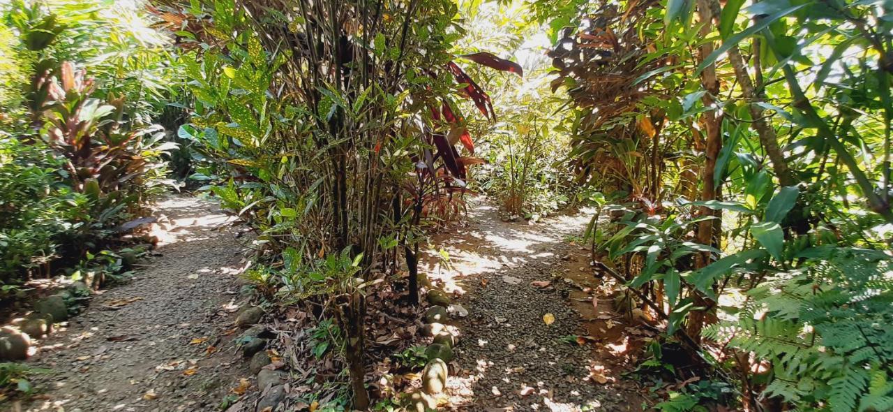 Jardin Entre Montanas Bed & Breakfast Bijagua Luaran gambar