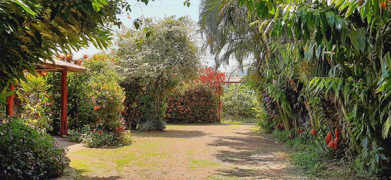Jardin Entre Montanas Bed & Breakfast Bijagua Luaran gambar